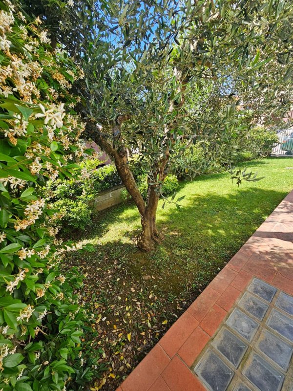 casa indipendente in vendita a Calcinaia