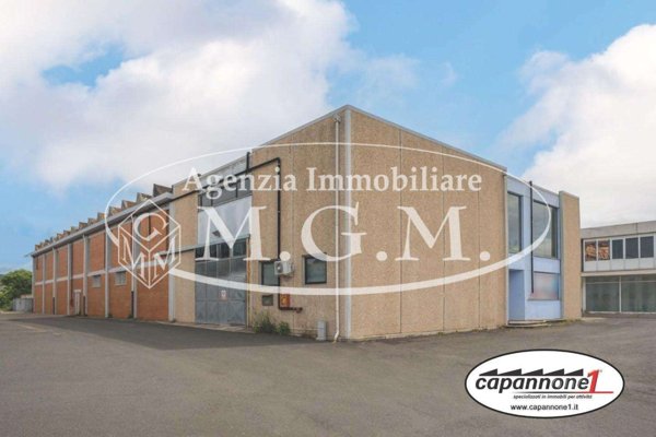 immagine annuncio 0 di 15