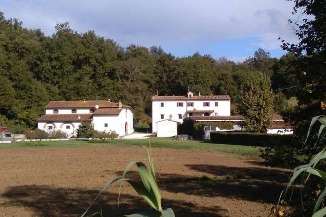 appartamento in vendita a Calcinaia