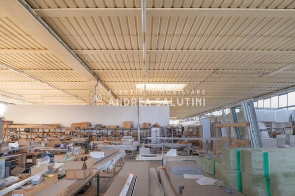 immagine annuncio 0 di 6