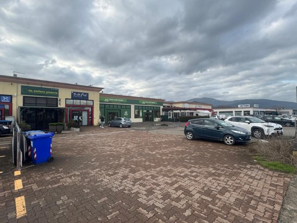 pentavano in vendita a Calcinaia in zona Sardina