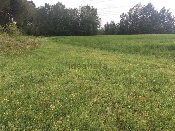 casale in vendita a Calcinaia