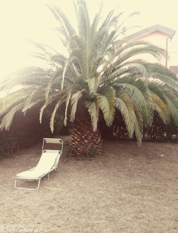 casa indipendente in vendita a Calcinaia in zona Sardina