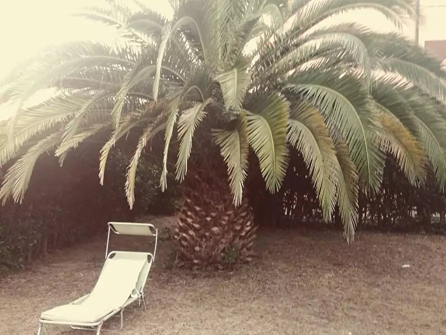 casa indipendente in vendita a Calcinaia