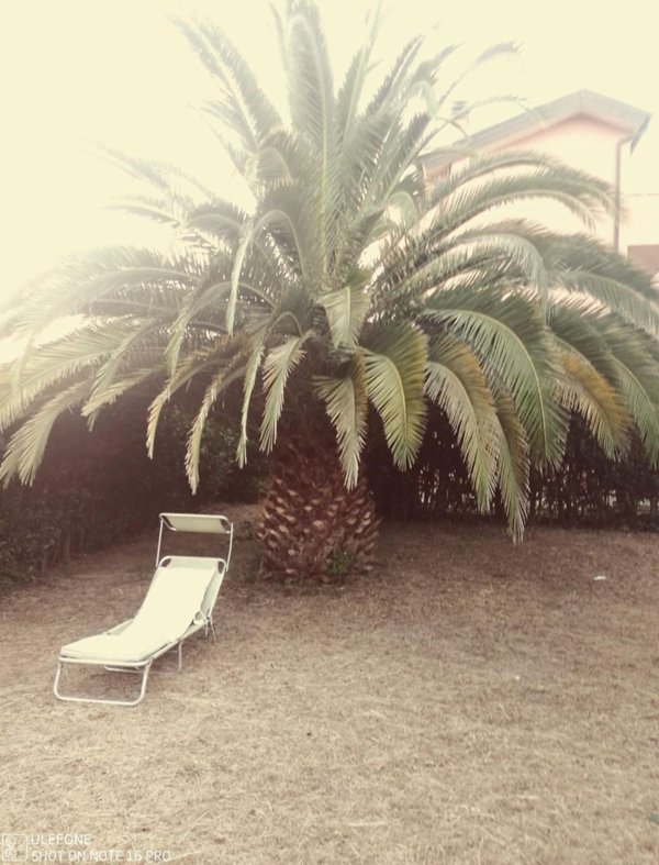 casa indipendente in vendita a Calcinaia in zona Sardina