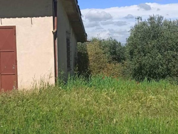 terreno agricolo in vendita a Capannoli