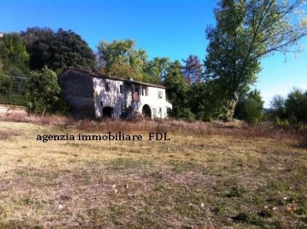 esavano in vendita a Capannoli