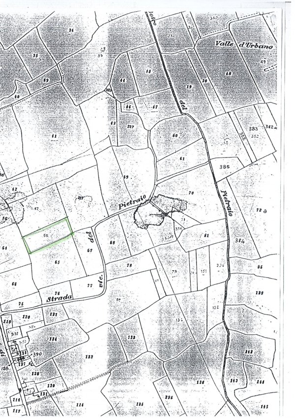 terreno agricolo in vendita a Capannoli