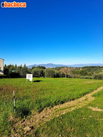 casa indipendente in vendita a Capannoli
