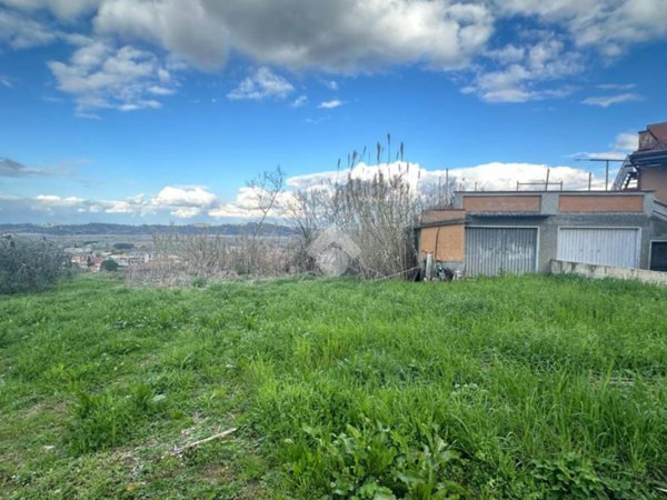 terreno agricolo in vendita a Capannoli