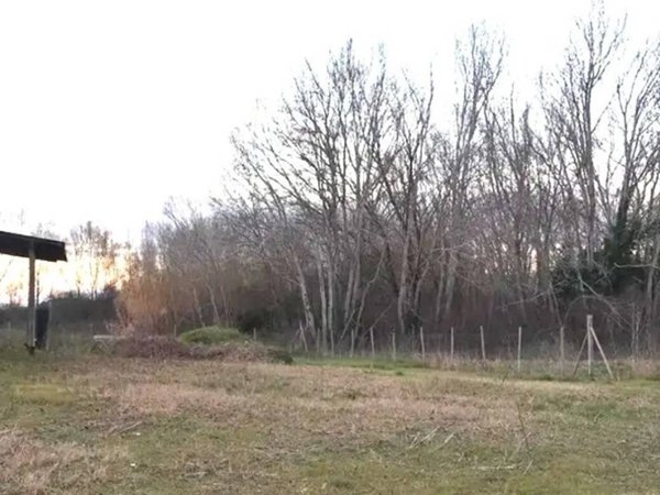 terreno agricolo in vendita a Capannoli