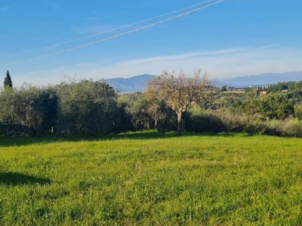 terreno agricolo in vendita a Capannoli