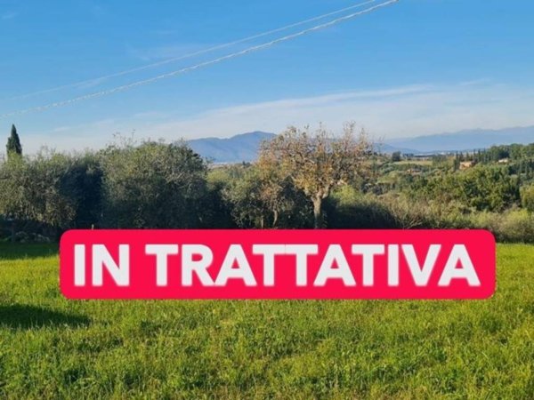 terreno agricolo in vendita a Capannoli
