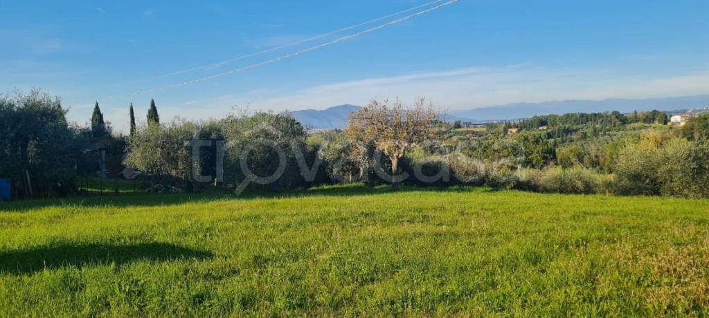 terreno agricolo in vendita a Capannoli