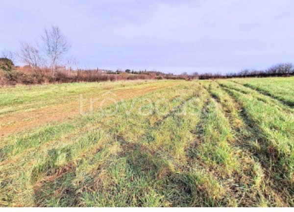 terreno agricolo in vendita a Capannoli