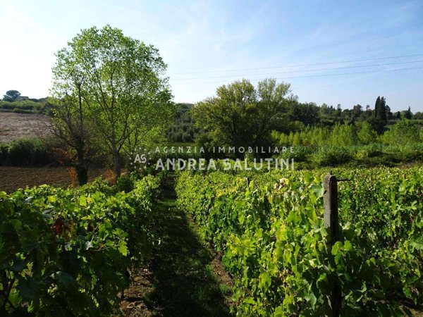 terreno agricolo in vendita a Capannoli