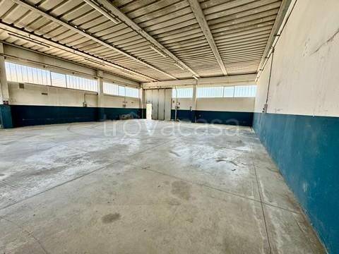 capannone in vendita a Capannoli