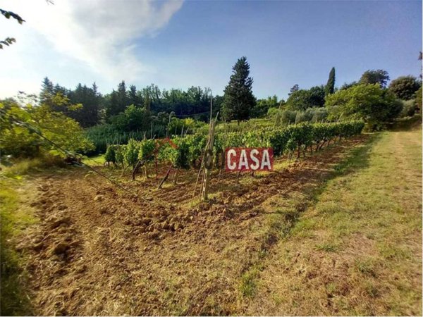 terreno agricolo in vendita a Capannoli