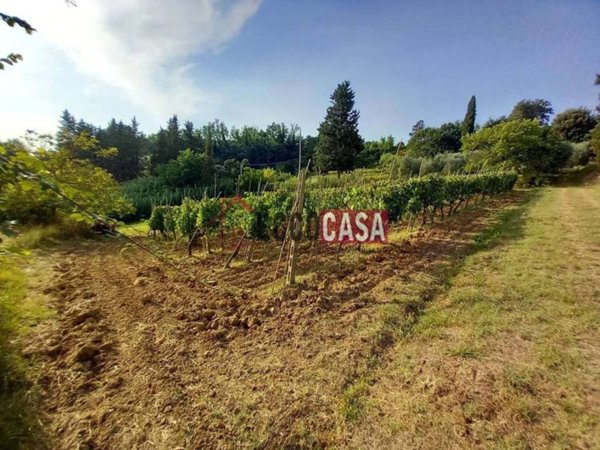 terreno agricolo in vendita a Capannoli