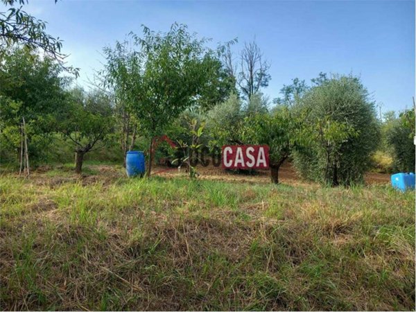 terreno agricolo in vendita a Capannoli