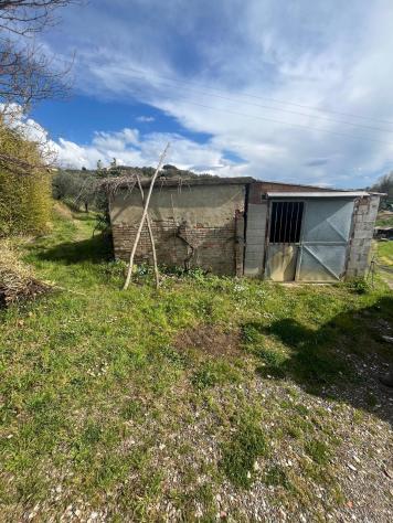 terreno agricolo in vendita a Capannoli