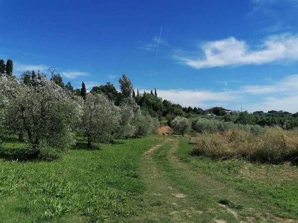 terreno agricolo in vendita a Capannoli