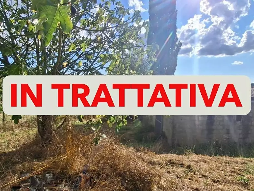 appartamento in vendita a Capannoli