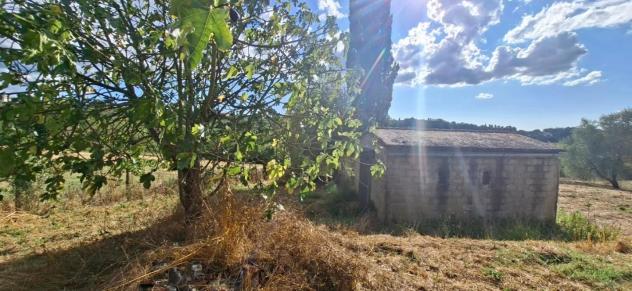 appartamento in vendita a Capannoli