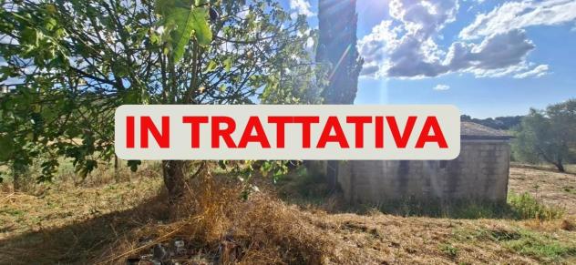 appartamento in vendita a Capannoli