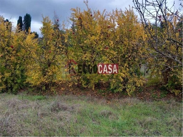 terreno agricolo in vendita a Capannoli
