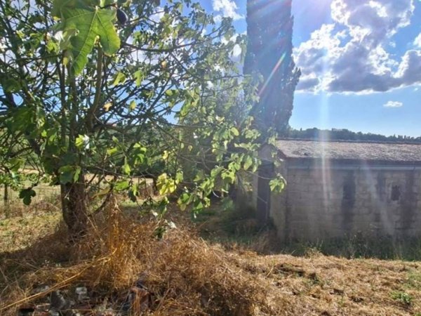 terreno agricolo in vendita a Capannoli