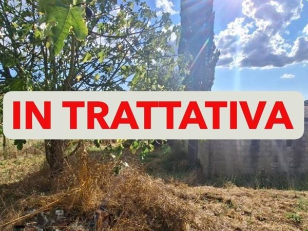 terreno agricolo in vendita a Capannoli