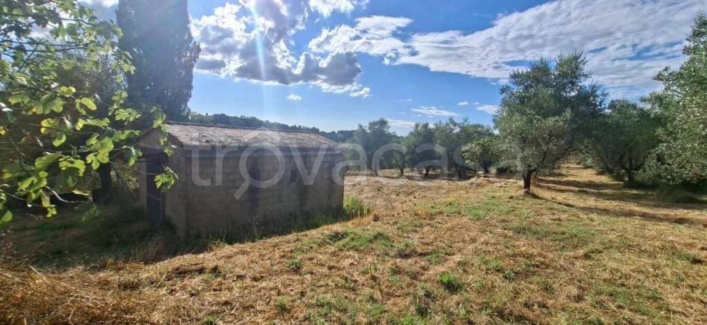 appartamento in vendita a Capannoli