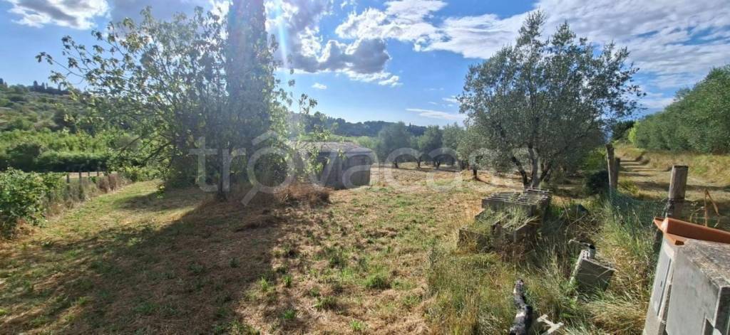 appartamento in vendita a Capannoli