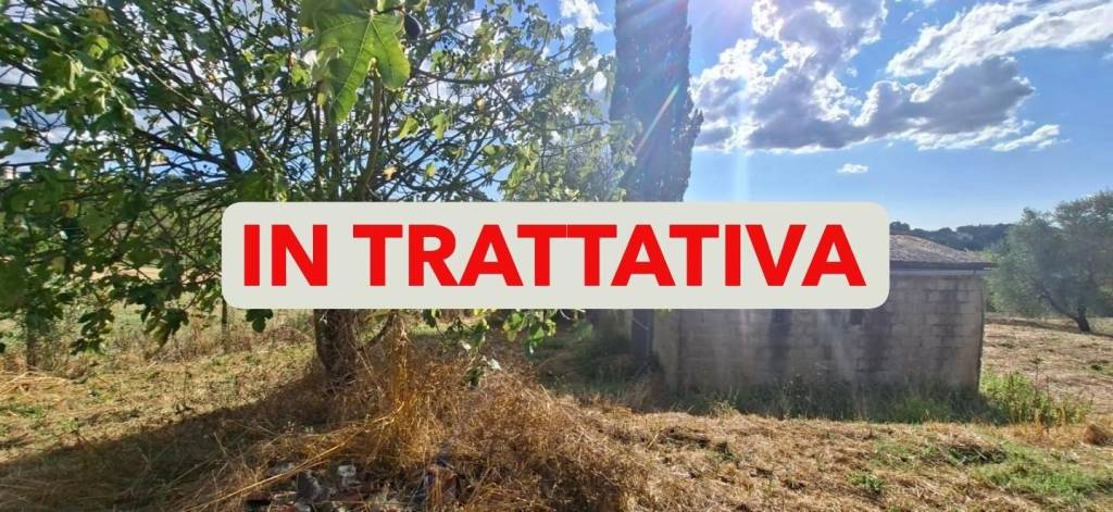 appartamento in vendita a Capannoli