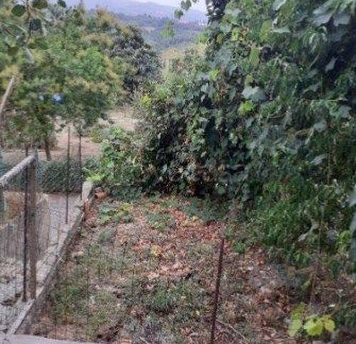 casa indipendente in vendita a Capannoli