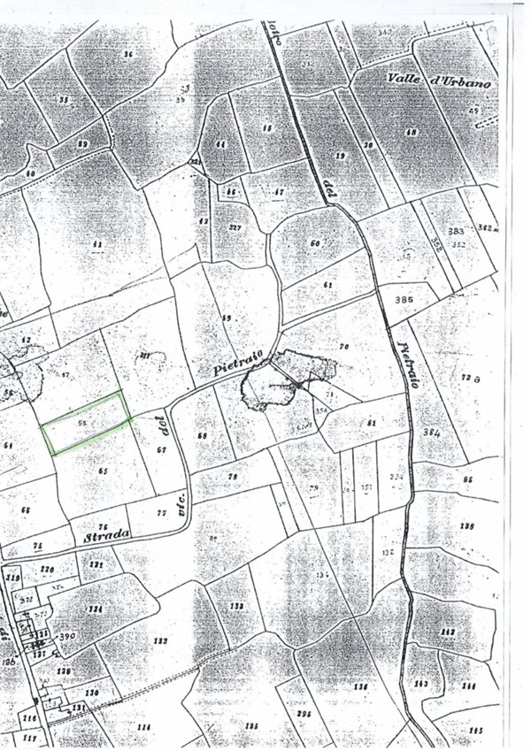 terreno agricolo in vendita a Capannoli