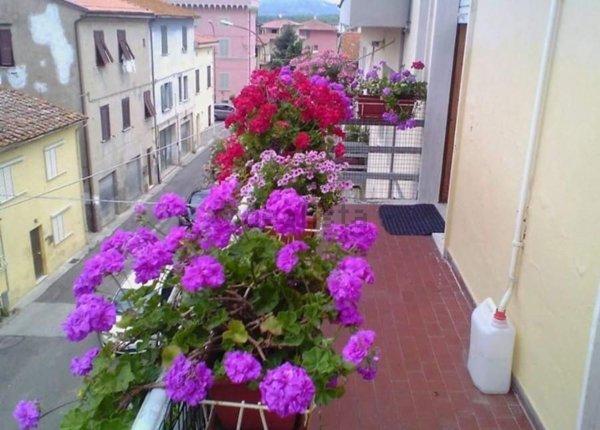 appartamento in vendita a Capannoli