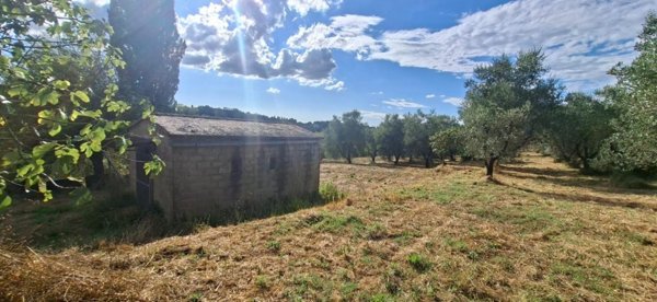 appartamento in vendita a Capannoli