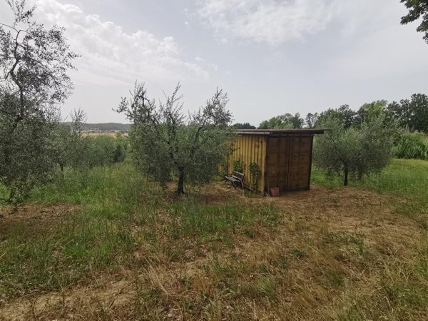terreno agricolo in vendita a Capannoli
