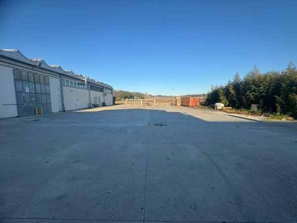 immagine annuncio 0 di 1