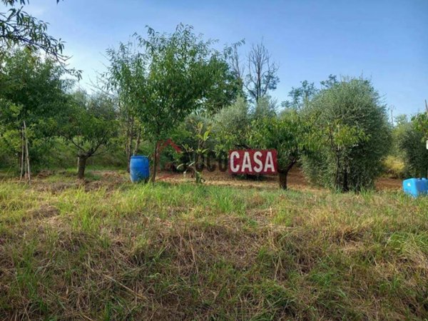 terreno agricolo in vendita a Capannoli