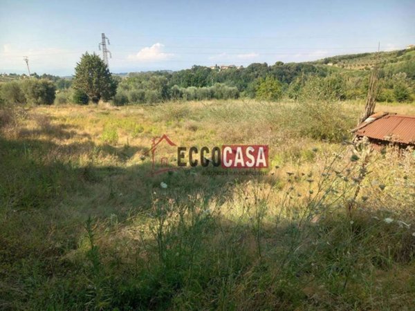 terreno agricolo in vendita a Capannoli