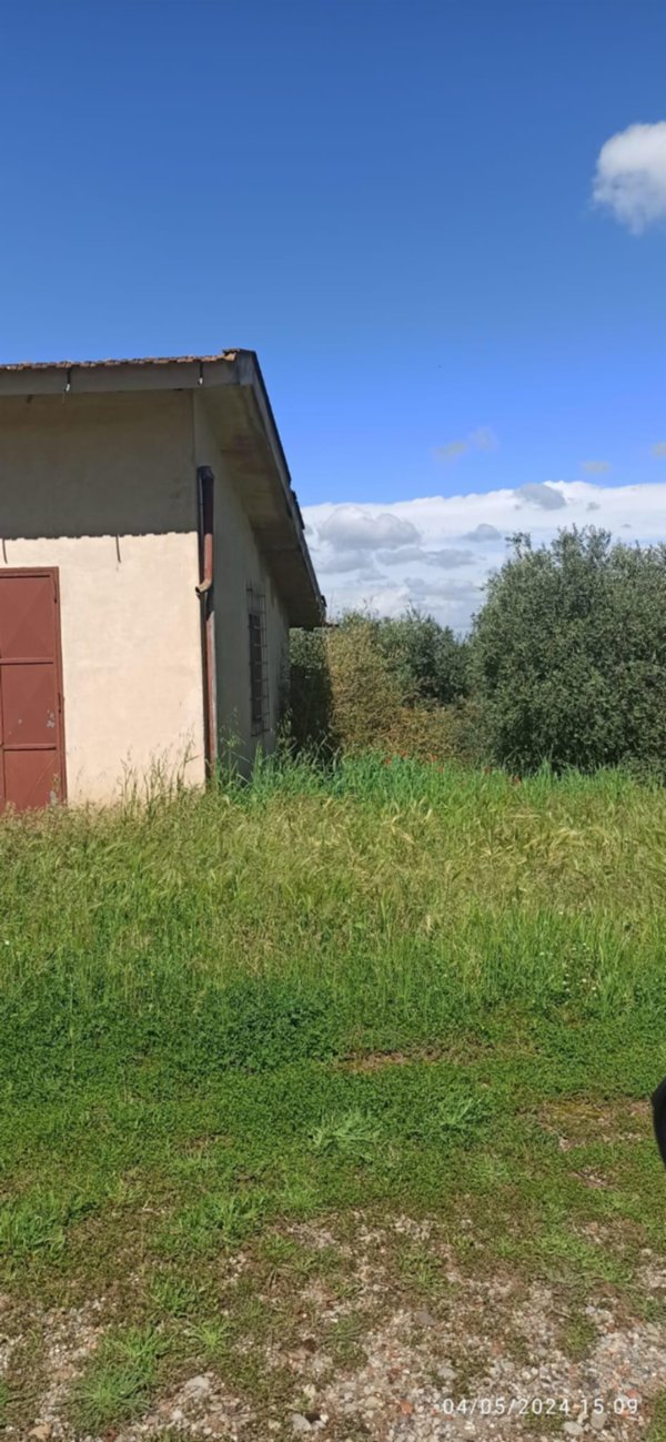 terreno agricolo in vendita a Capannoli