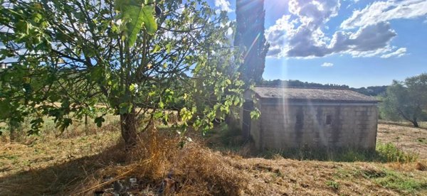 appartamento in vendita a Capannoli