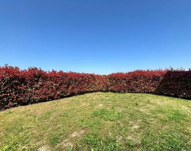 appartamento in vendita a Capannoli