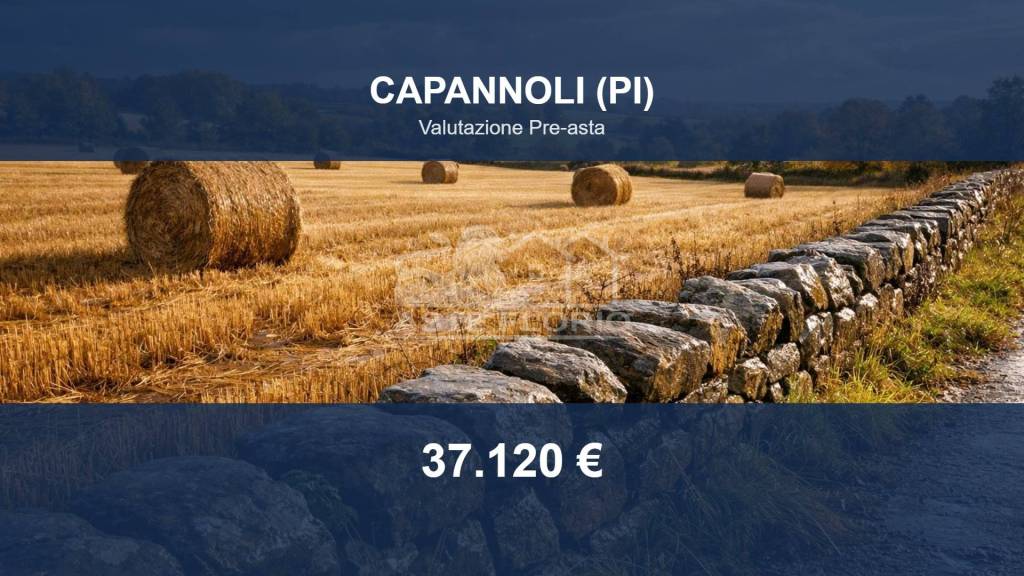 terreno agricolo in vendita a Capannoli