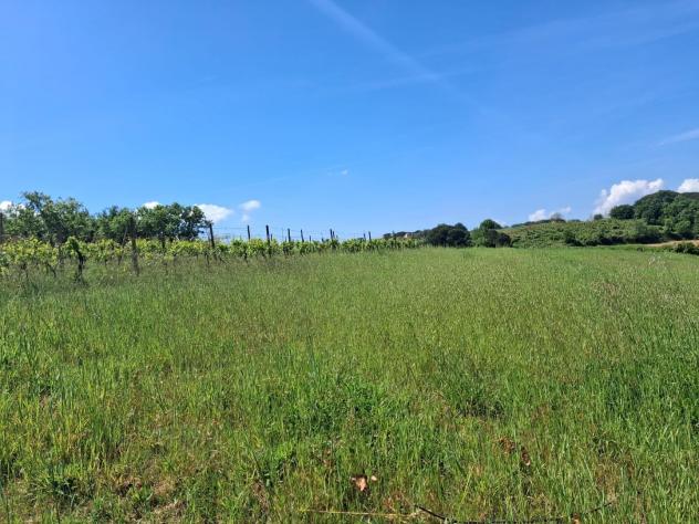 terreno agricolo in vendita a Capannoli