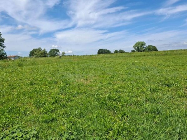 terreno agricolo in vendita a Capannoli