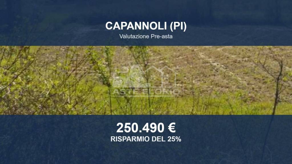 terreno agricolo in vendita a Capannoli